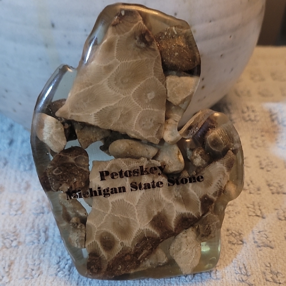 Petoskey Stone Decor